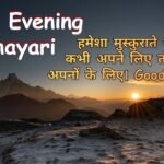 Good Evening Shayari